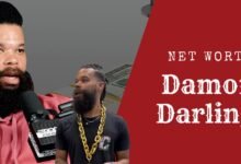 Damon Darling Net Worth